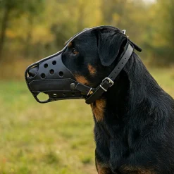 Muselière de frappe Scorpion Cabine Nez Protégé - pour Beauceron