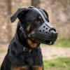 Muselière de frappe Scorpion Cabine - Beauceron