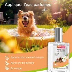 Mus. frappe Scorpion Cabine Nez Protégé avec mordeur - Beauceron