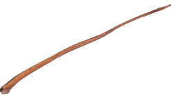 Nerf de boeuf entier