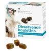 Observence chien - Prise spontanée de comprimés ou gélules