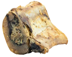 Os de boeuf junior