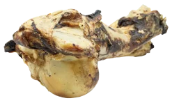 Os fémur séché 30 cm