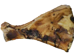 Os naturel omoplate L