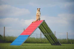 Palissade Agility K9 Sport Aluminium et Tartan