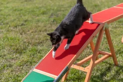 Passerelle Agility