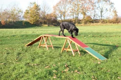 Passerelle Agility