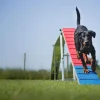 Passerelle Agility K9 Sport Aluminium et Tartan