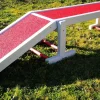 Passerelle, Ecole du Chiot