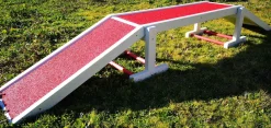 Passerelle, Ecole du Chiot
