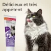 Pates anti boules de poils pour chats au malt