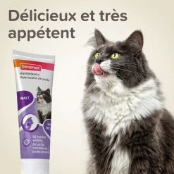 Pates anti boules de poils pour chats au malt