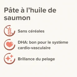 Pates au saumon spécial beauté du pelage