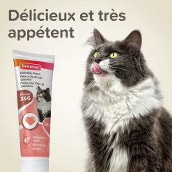 Pates au saumon spécial beauté du pelage