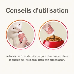 Pates au saumon spécial beauté du pelage