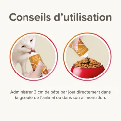 Pates multivitaminée pour chat à la taurine et aux omégas