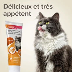 Pates multivitaminée pour chat à la taurine et aux omégas