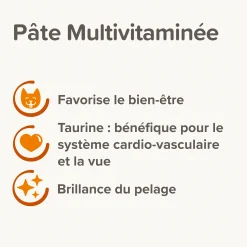 Pates multivitaminée pour chat à la taurine et aux omégas