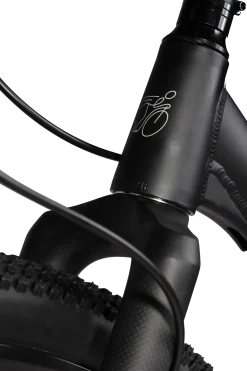 Patinette Kickbike Cross 29 ER fourche carbone noir