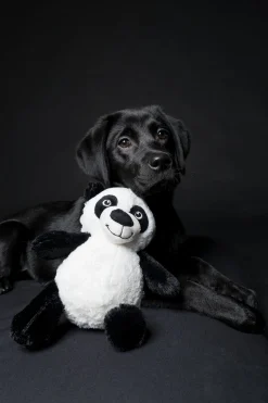 Peluche panda