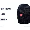 Plaque " attention au chien "