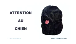 Plaque " attention au chien "