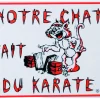 Plaque de garde "notre chat fait du karaté"