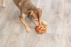 Pretzel au canard 15 cm