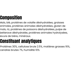 Profusion Premium chat