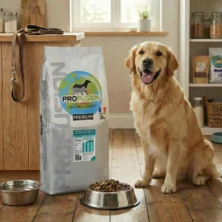 Profusion PREMIUM chien adulte agneau et riz