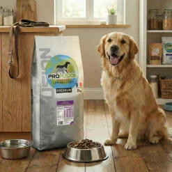 Profusion PREMIUM chien senior