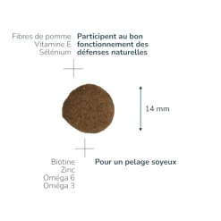Pro-nutrition Prestige Adulte Medium 3 kg