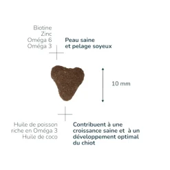 Pro-nutrition Prestige Adulte Mini 3 kg