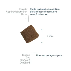 Pro-Nutrition Prestige Stérilisé / Light Mini