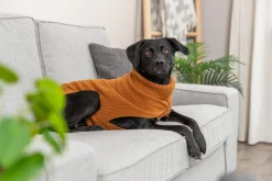 Pullover CityStyle Berlin, XS: 27 cm, anthracite