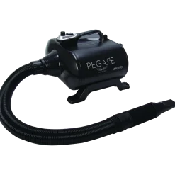 Pulseur séchoir Pegase Maestro portable