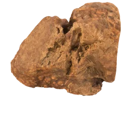 Racine de bruyère, 60-150 gr