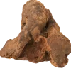 Racine de bruyère, 300-500 gr
