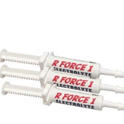 R Force 1, Electrolyte / Récupérateur / Booster, 1 seringue