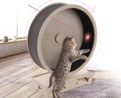 Roue d'exercice pour chat - M