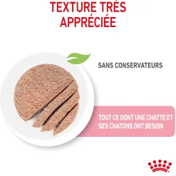 Royal Canin bouchées Mother Baby Cat