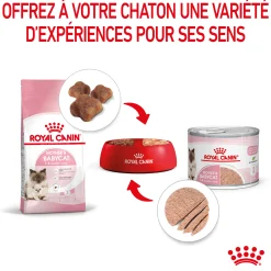 Royal Canin bouchées Mother Baby Cat
