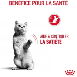 Royal Canin Chat Appetite Control