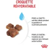 Royal Canin Chat Baby Cat