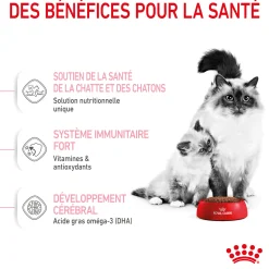 Royal Canin Chat Baby Cat