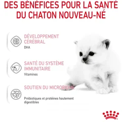 Royal Canin Chat Baby Cat Milk