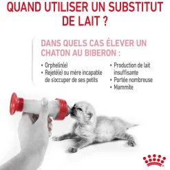 Royal Canin Chat Baby Cat Milk