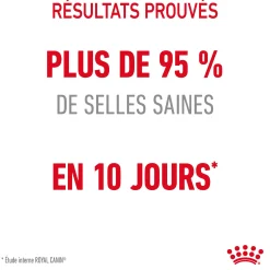Royal Canin Chat digestive Care