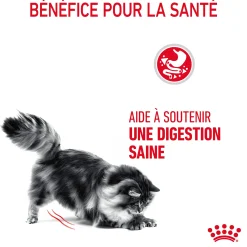 Royal Canin Chat digestive Care