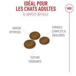 Royal Canin Chat Exigent Fussy